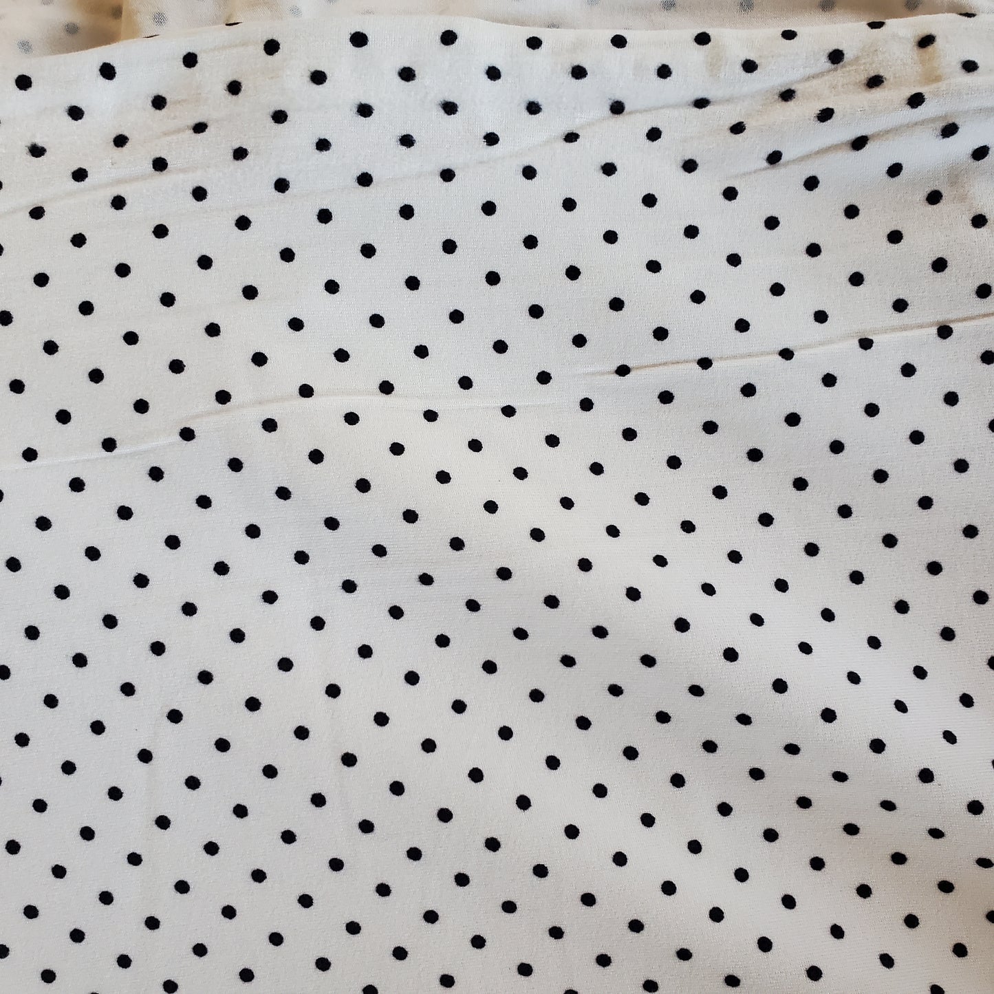 Small Polka dots on Brushed DTY knit
