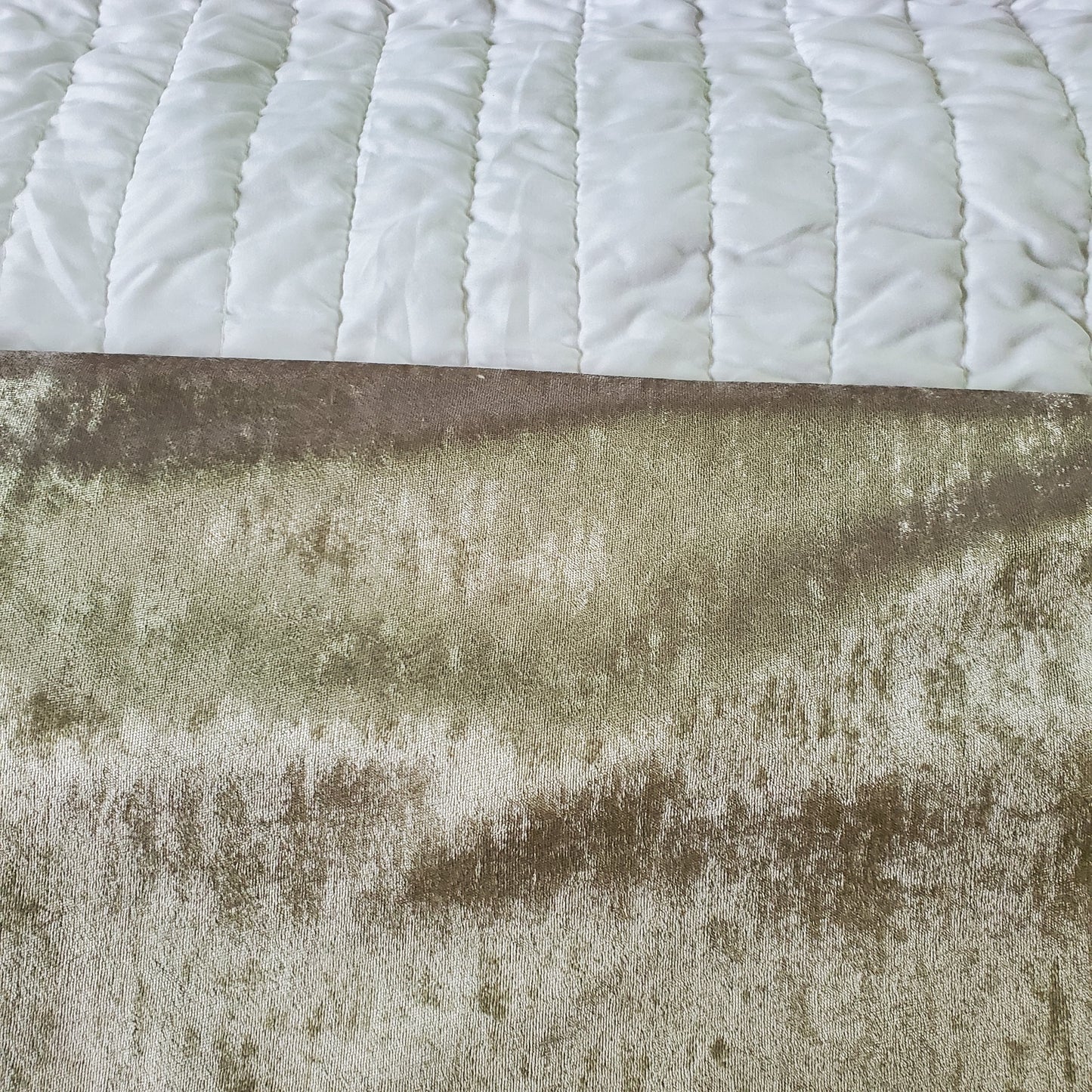 Champagne Velvet